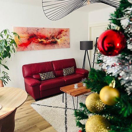 Appartement Cosy Et Lumineux Avec Parking Gratuit Colmar Exteriér fotografie