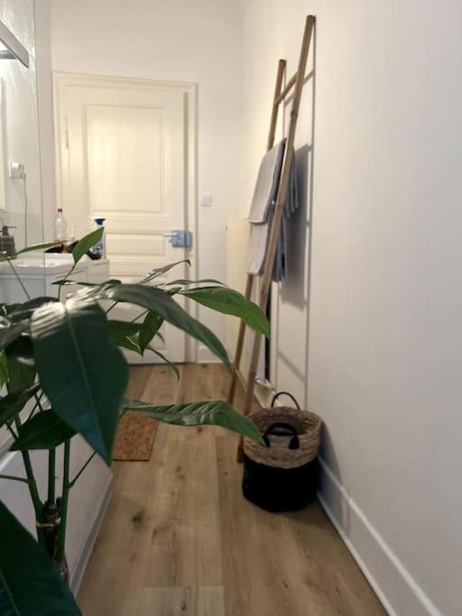 Appartement Cosy Et Lumineux Avec Parking Gratuit Colmar Exteriér fotografie