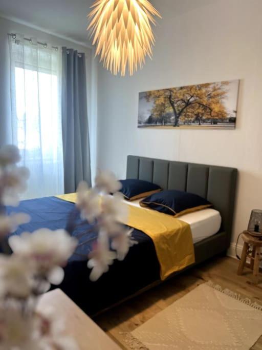 Appartement Cosy Et Lumineux Avec Parking Gratuit Colmar Exteriér fotografie