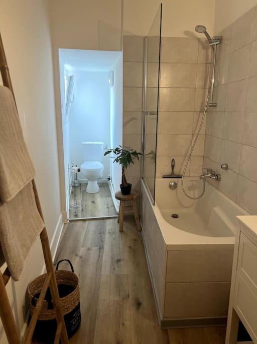 Appartement Cosy Et Lumineux Avec Parking Gratuit Colmar Exteriér fotografie