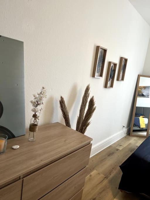 Appartement Cosy Et Lumineux Avec Parking Gratuit Colmar Exteriér fotografie