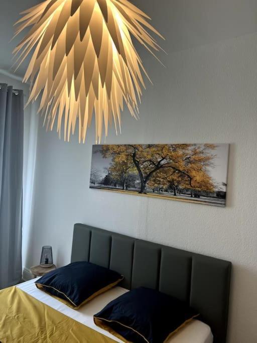 Appartement Cosy Et Lumineux Avec Parking Gratuit Colmar Exteriér fotografie